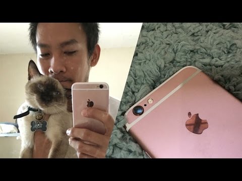 iphone 6s rose gold review